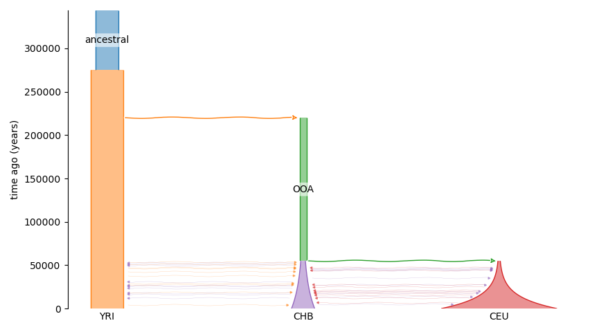 Demes model drawn without non-default names